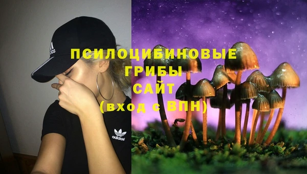 мет Алексеевка