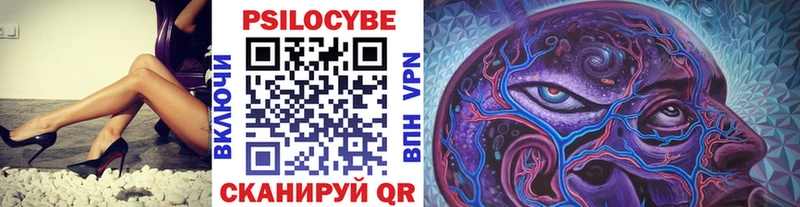 Псилоцибиновые грибы мухоморы  даркнет сайт  Бирюч 