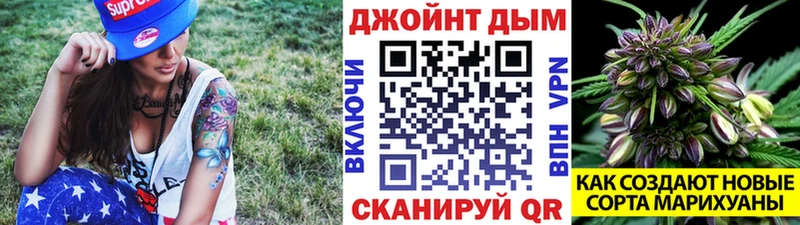 Бошки Шишки VHQ  что такое наркотик  Бирюч 